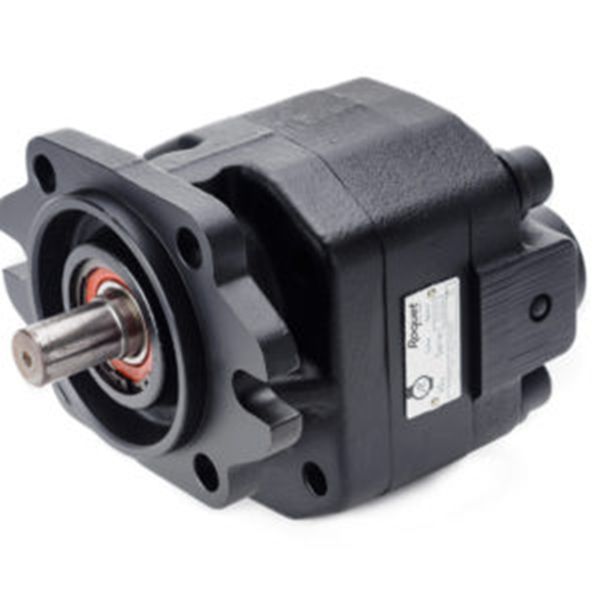 Roquet齿轮泵厂家，Roquet电机和齿轮泵，型号齐全