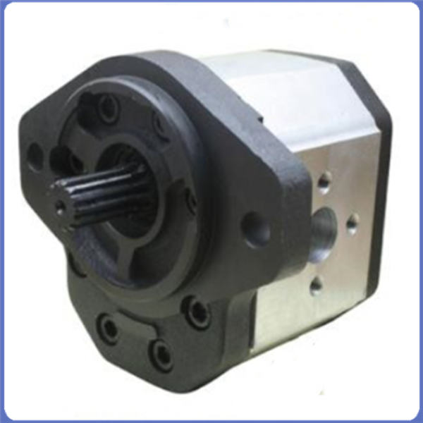 10组/ Caproni齿轮泵和马达