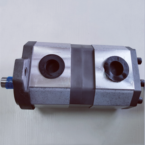 油力顿双联齿轮泵